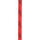 Edelweiss 10.5mm Proline