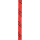 Edelweiss 10.5mm Proline