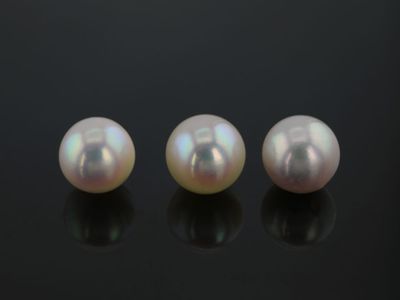 Akoya Pearl W3 6-6.5mm (C)