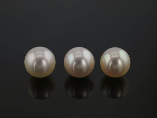 Akoya Pearl Light Cream 6-6.5mm (C)