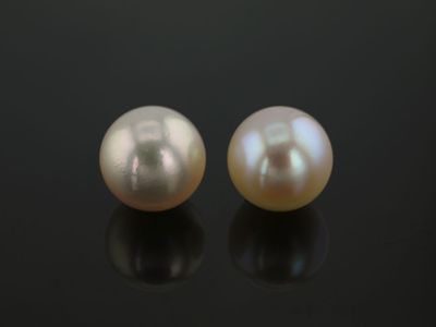 Akoya Pearl Light Cream 7.5-8mm (C)