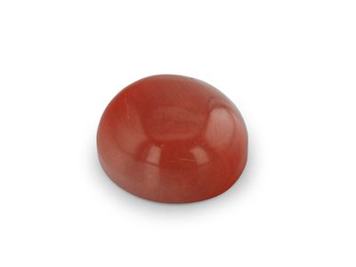 Red Coral 9.2x8.1mm Oval Cabochon (N) (SC)