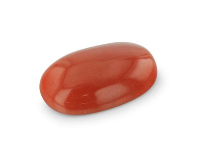 Red Coral 12.35x7.7mm Oval Cabochon (N) (SC)
