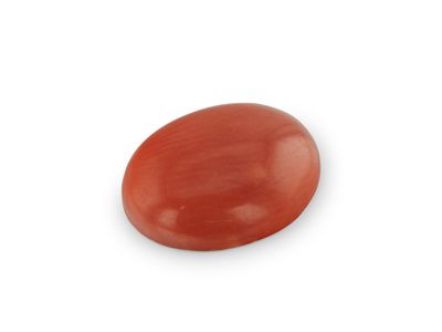 Red Coral 10.1x8.1mm Oval Cabochon (N) (SC)