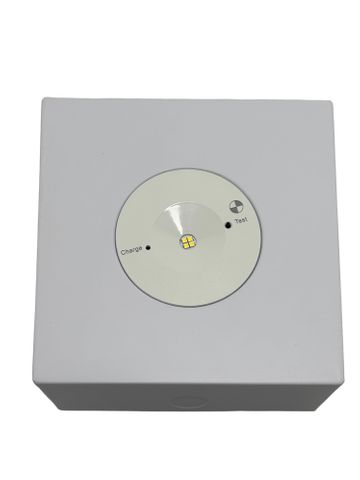 LED Surface Mount Emergency Downlight 3w D40