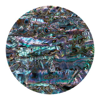 MEXICAN ABALONE GREEN RIPPLE