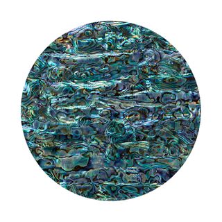 PAUA