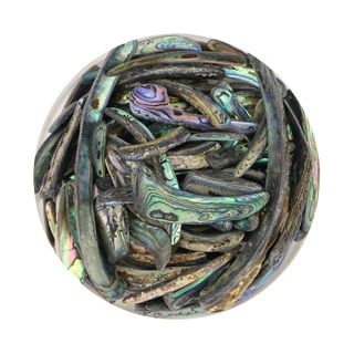 PAUA RIMS