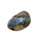 POLISHED SHELL - PAUA - PREMIUM - SPIRAL (120-150MM)