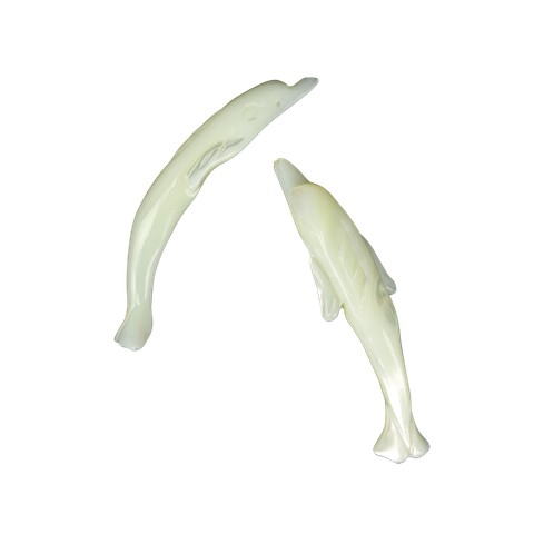 SHELL BEAD - TROCHUS - DOLPHIN CARVED 50MM (DOZ)