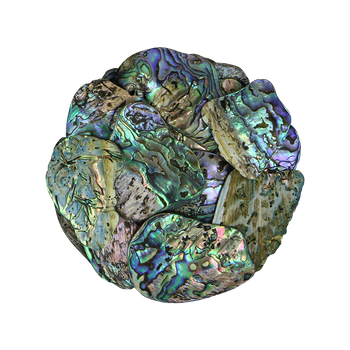 PAUA SATIN MEDIUM