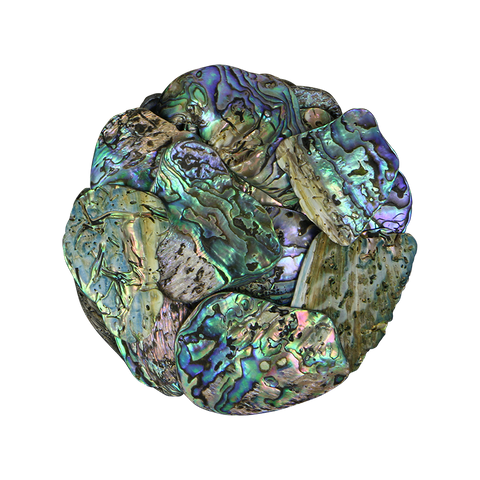 PAUA SATIN MEDIUM