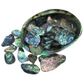 SHELL PIECES PAUA SATIN - MEDIUM 25-40MM - 1KG