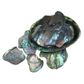 SHELL PIECES PAUA SATIN - LARGE 40-65MM - 1KG