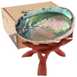 SOUL SHELL - PREMIUM NATURAL SHELL WITH STAND