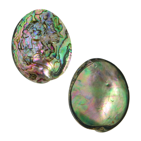 PAUA GEM