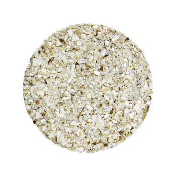 SHELL TERRAZZO CHIP - F/W MOP - 1-4MM - 1KG