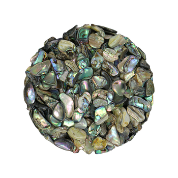 SHELL TERRAZZO CHIP - PAUA - 8-12MM - 1 KG