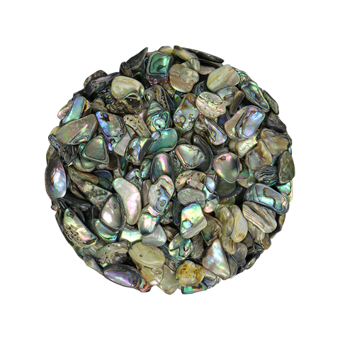 SHELL TERRAZZO CHIP - PAUA - 8-12MM - 1 KG