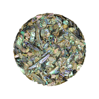 SHELL TERRAZZO CHIP - PAUA - 5-7MM - 1 KG