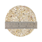 SHELL TERRAZZO CHIP - TROCHUS - 1-4MM- 1KG (UB)