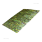 SHELL VENEER MATT COATED - PAUA PERIDOT GREEN - 200*200MM