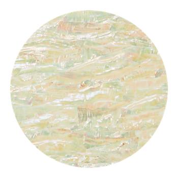 SHELL VENEER COATED - KOREAN ABALONE NATURAL