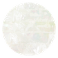 SHELL VENEER UNCOATED - WMOP STRIP - 205*205MM