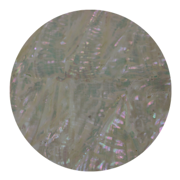 SHELL VENEER UNCOATED - KOREAN ABALONE NATURAL
