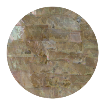 SHELL VENEER UNCOATED - WING OYSTER BROWN