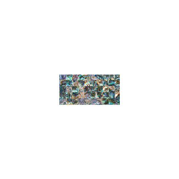 SOLID SHELL TILE - NZ ABALONE PAUA NATURAL - SQUARE - 15*15/150*75MM