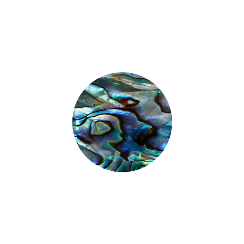 SHAPE PAUA - CIRCLE