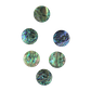 SHELL BLANK PAUA - CIRCLE - NATURAL CURVE, CLEAN BACK, TUMBLED POLISHED - 32MM [50L] (DOZ)