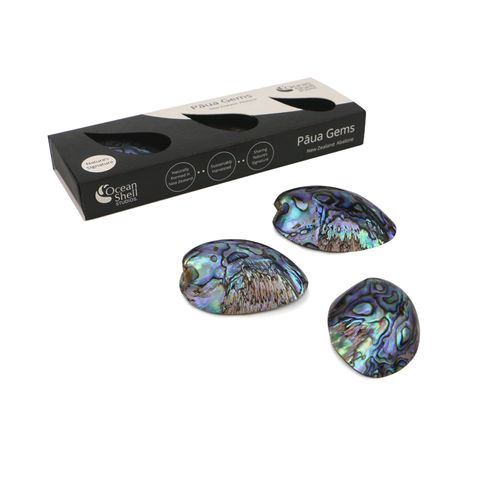 PAUA GEMS IN GIFT BOX - 40-45MM, 45-50MM, 50-55MM