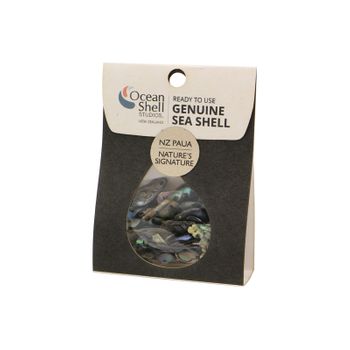 SHELL PIECES PAUA SOUVENIR 2-15MM 50G