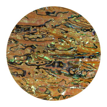 SHELL VENEER COATED - PAUA TIGERS EYE - 200*200MM