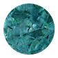 SHELL VENEER COATED - WMOP TURQUOISE GREEN - 300*300MM