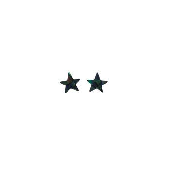 PAUA & RIMU EARRINGS - STARS (13*13MM)