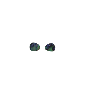 PAUA & RIMU EARRINGS - OVALS (11*10MM)