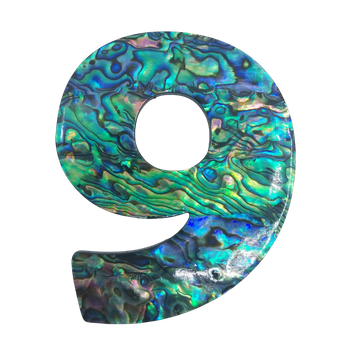 PAUA VENEER NUMBER - NINE