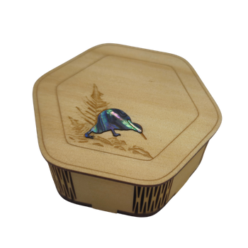 CURIO BOX - KIWI  - SMALL