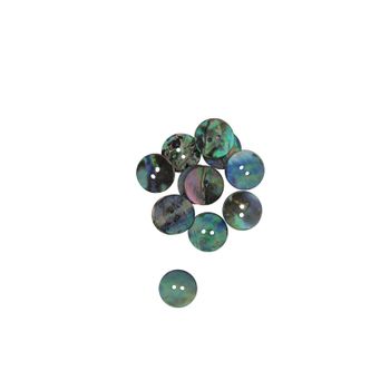 SHELL BUTTON - PAUA - 20MM [32L] (DOZ)