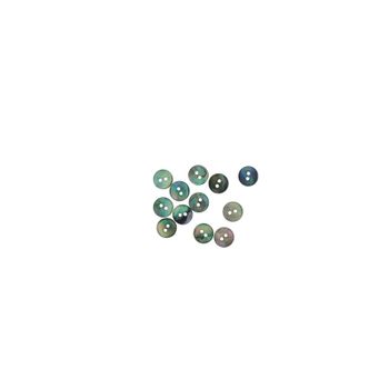 SHELL BUTTON - PAUA - 11.25MM [18L] (DOZ)