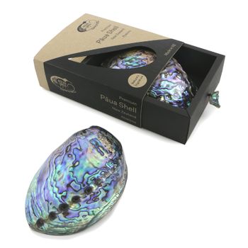 PREMIUM PAUA SHELL GIFT BOX