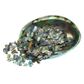 SHELL PIECES PAUA SATIN - FINES 5-15MM - 200G