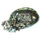 SHELL PIECES PAUA SATIN - FINES 5-15MM - 1KG