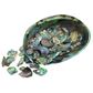 SHELL PIECES PAUA SATIN - SMALL 15-25MM - 1KG