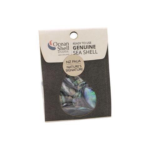 SHELL PIECES PAUA SOUVENIR 15-40MM 50G