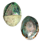 POLISHED SHELL - PAUA - PREMIUM - HALF/HALF (120-150MM)