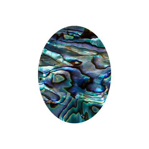 SHAPE PAUA - OVAL